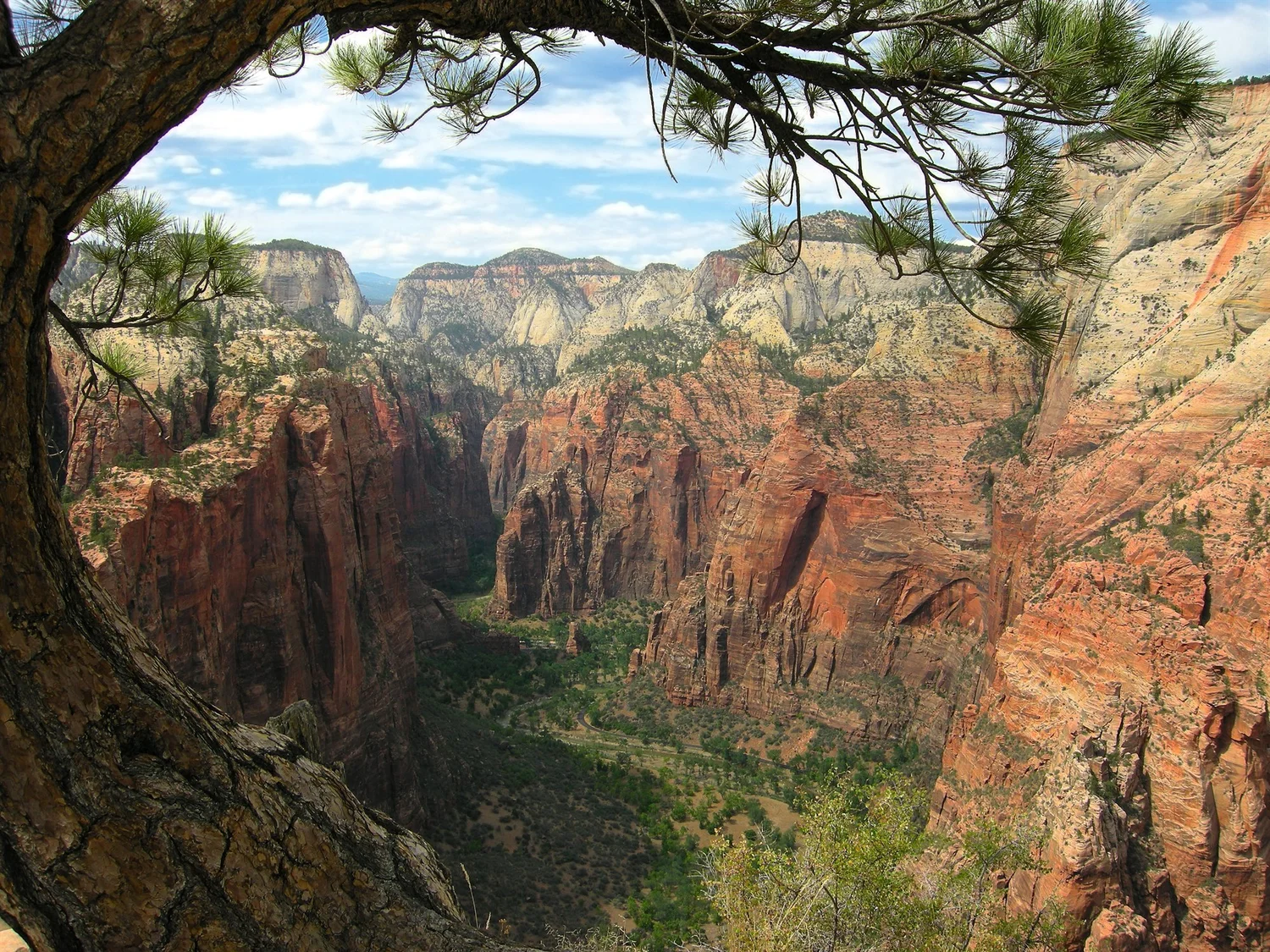 View of Zion canyon from Angels Landing